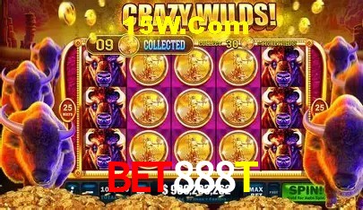 Suporte prioritário e eventos VIP